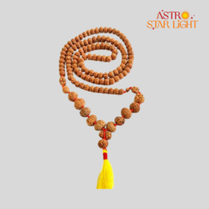 1 To 14 mukhi Rudraksha mala - Nepali