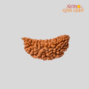 1 Mukhi Rudraksha