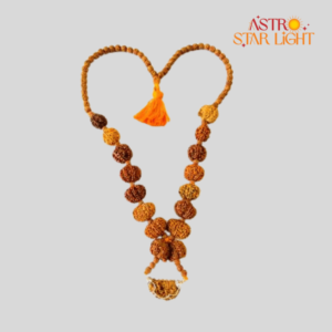 1 To 14 Mukhi Rudraksha Mala