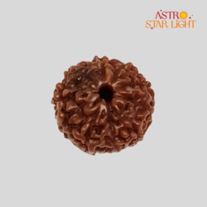 10 Mukhi Rudraksha