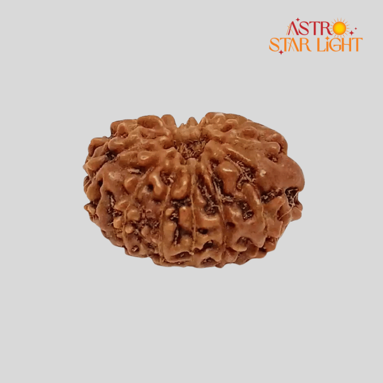 12 Mukhi Rudraksha