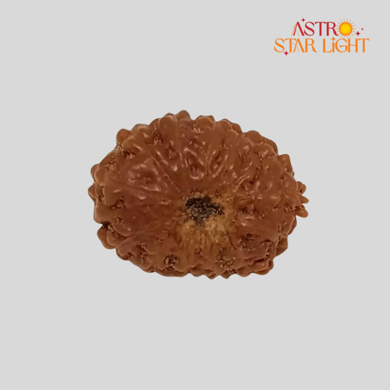 13 Mukhi Rudraksha