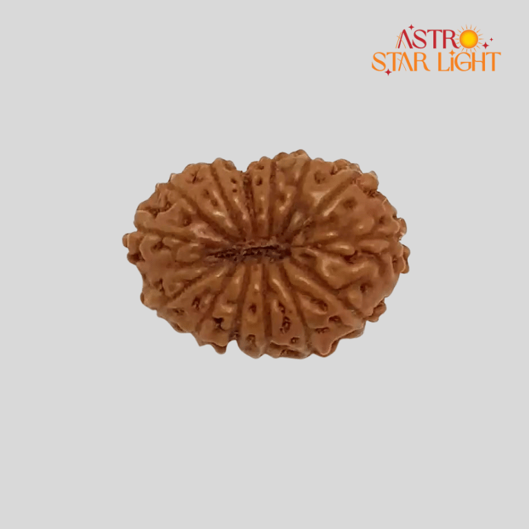 14 Mukhi Rudraksha