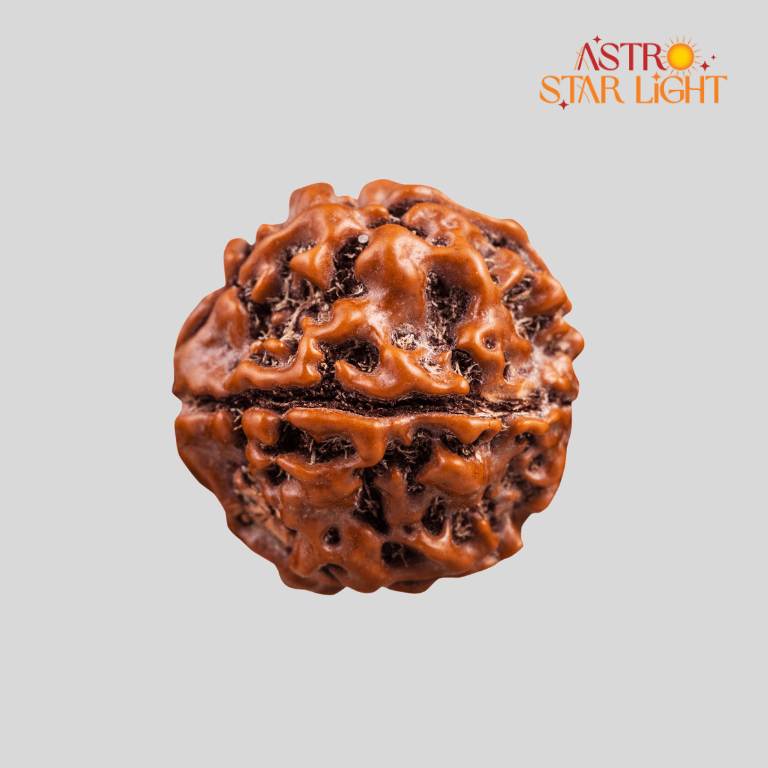 2 Mukhi Rudraksha