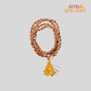 2 Mukhi Rudraksha Mala