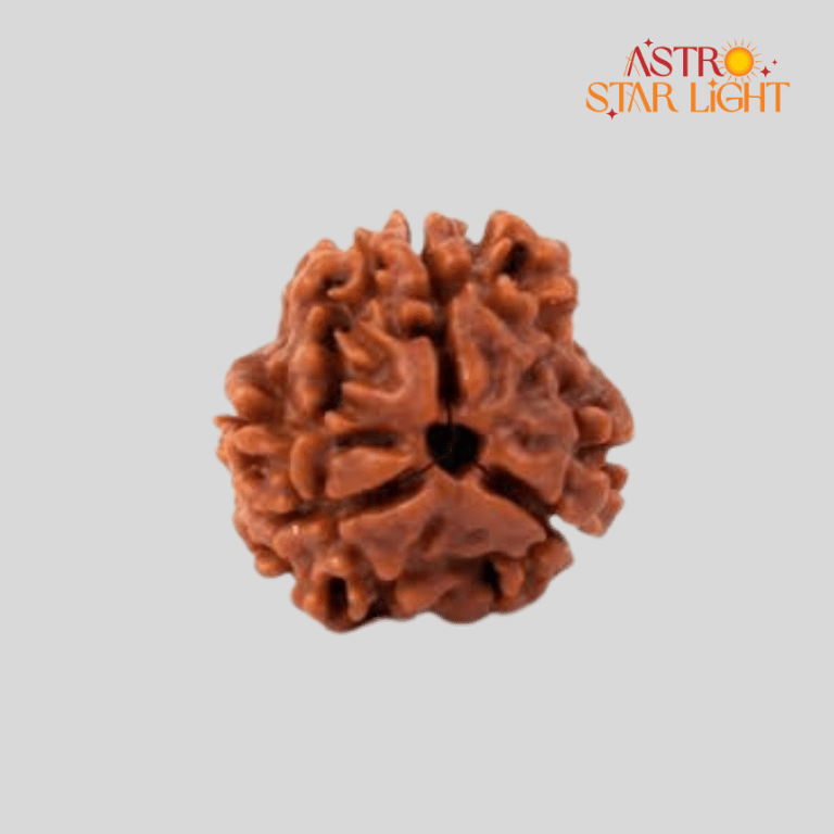 3 Mukhi Rudraksha