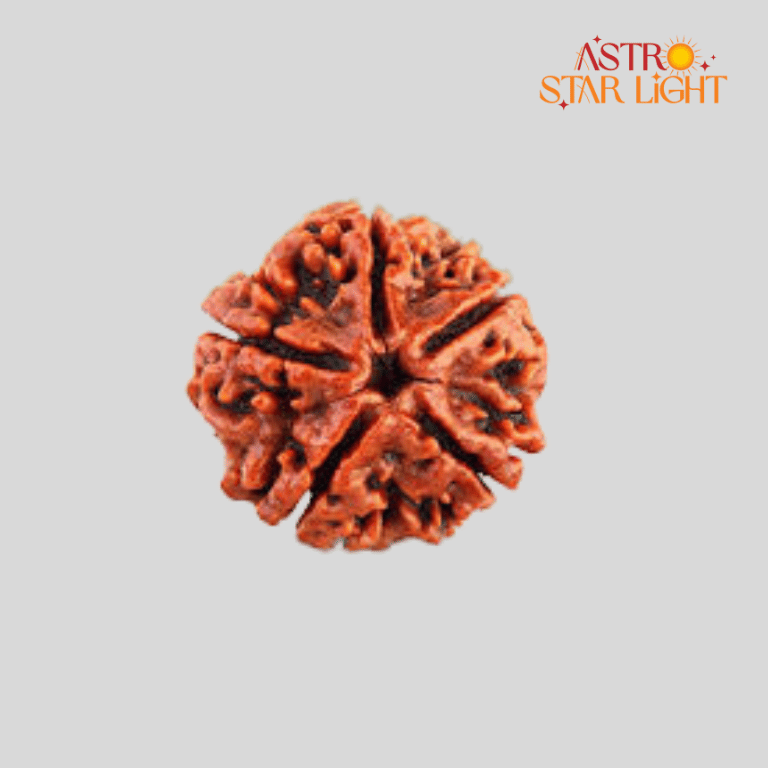 5 Mukhi Rudraksha