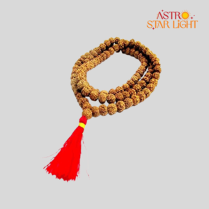 6 Mukhi Rudraksha Mala
