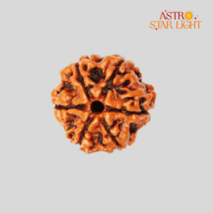 6 Mukhi Rudraksha