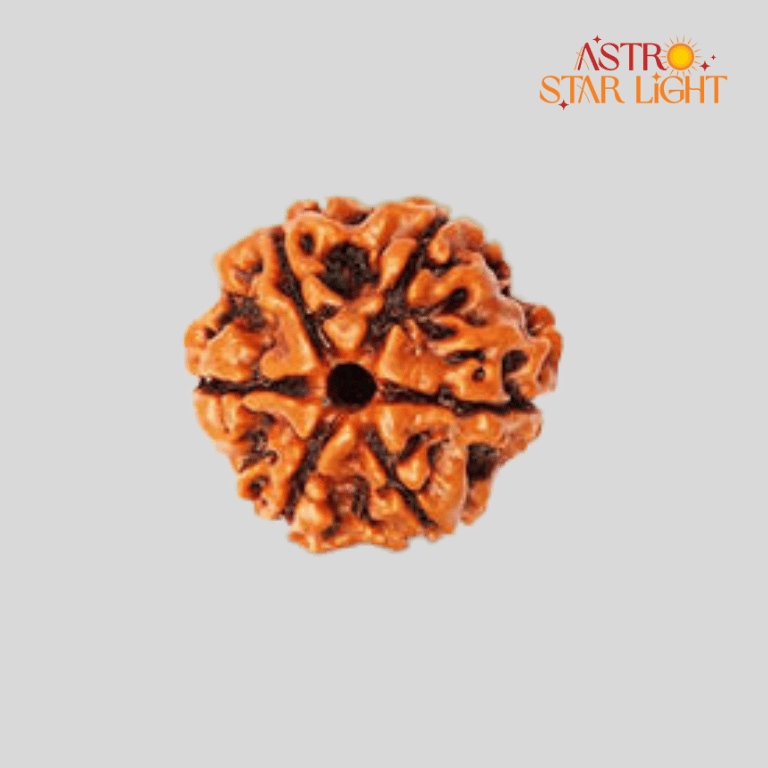 6 Mukhi Rudraksha