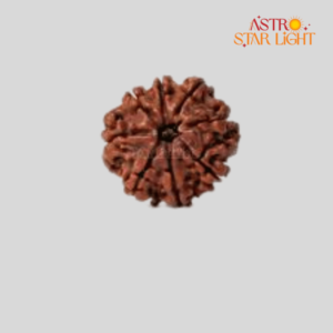 8 Mukhi Rudraksha