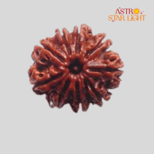 9 Mukhi Rudraksha
