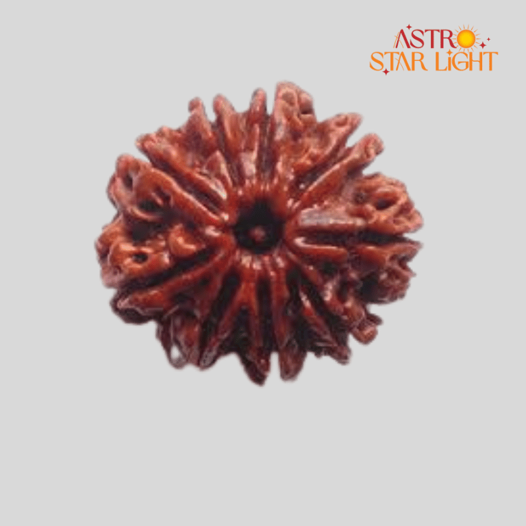 9 Mukhi Rudraksha