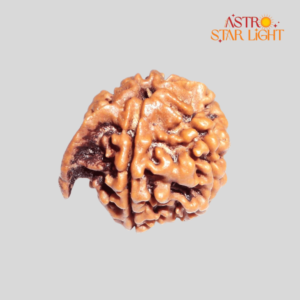 Ganesha Rudraksha