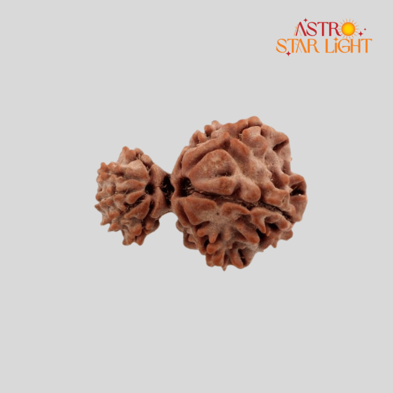 Garbh Gauri Shankar Rudraksha