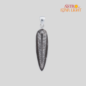Orthoceras Pendant
