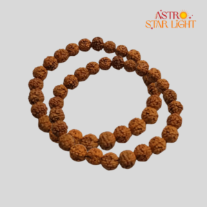 Rudraksha Combo Bracelet